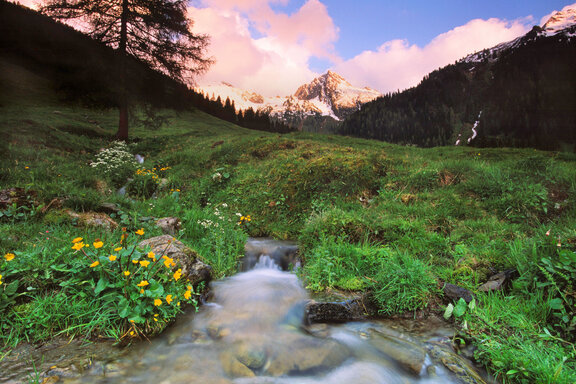 Inneralpbach, Greitergraben © Alpbachtal Tourismus, Christian Vorhofer Inneralpbach, Greitergraben © Alpbachtal Tourismus, Christian Vorhofer
