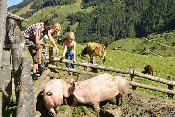 Inneralpbach, Außer-Mareitalm © Alpbachtal Tourismus, Bernhard Berger Inneralpbach, Außer-Mareitalm © Alpbachtal Tourismus, Bernhard Berger.