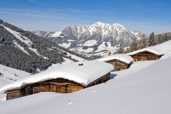 Stettauer Alm in Inneralpbach © Alpbachtal Tourismus, Bernhard Berger Stettauer Alm in Inneralpbach © Alpbachtal Tourismus, Bernhard Berger.